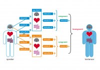 Luisteren diagram